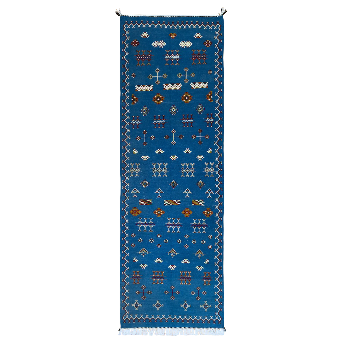 shibi-moroccan-runner-aerial.